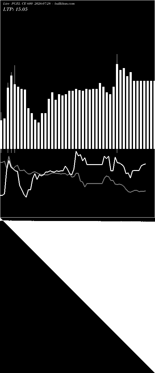  option chart PGEL CE 600 2026-07-28 