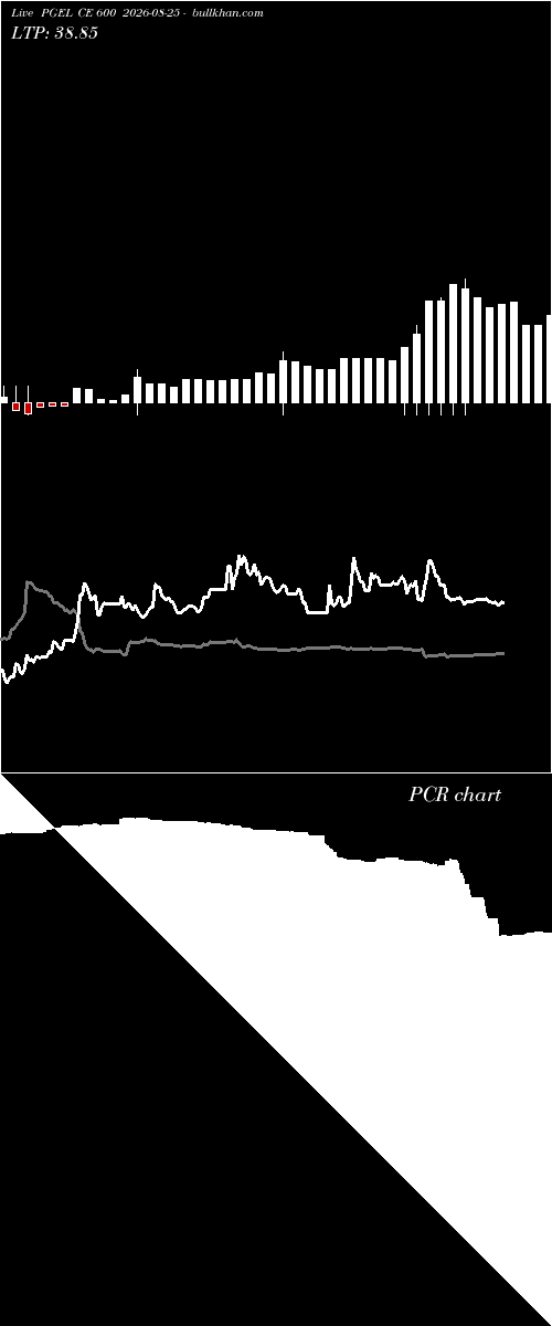  option chart PGEL CE 600 2026-08-25 