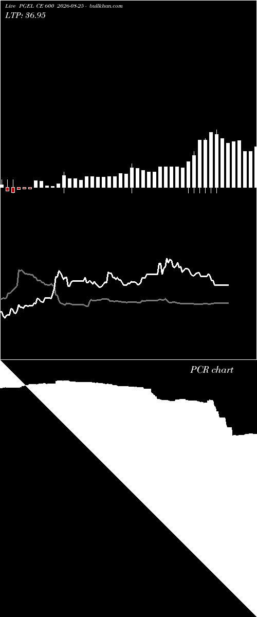  option chart PGEL CE 600 2026-08-25 