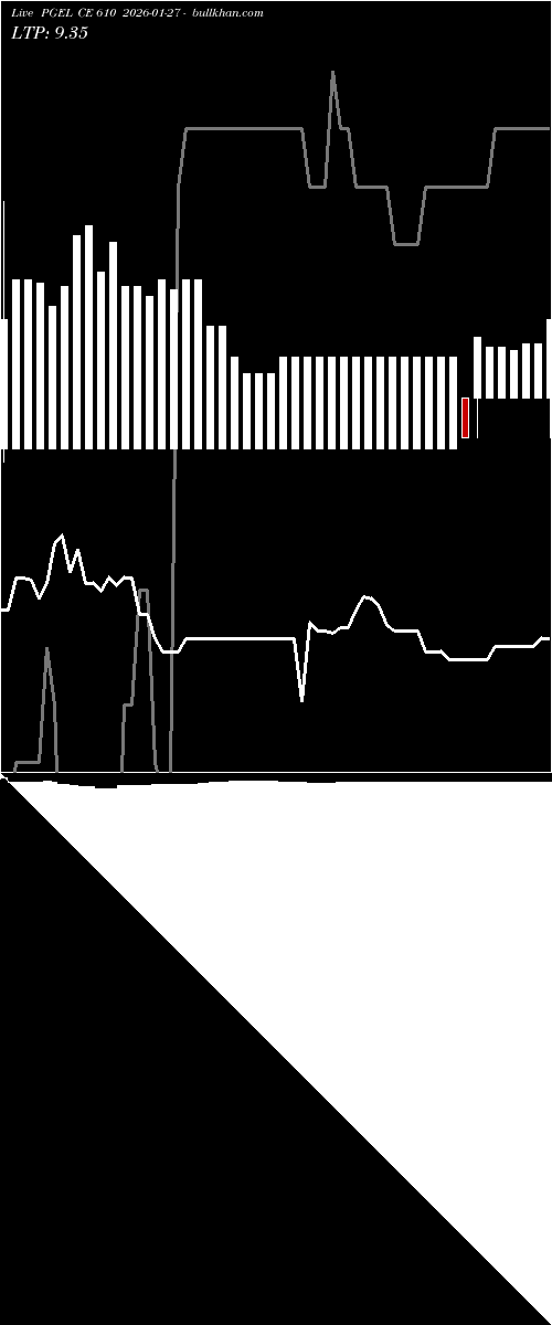  option chart PGEL CE 610 2026-01-27 