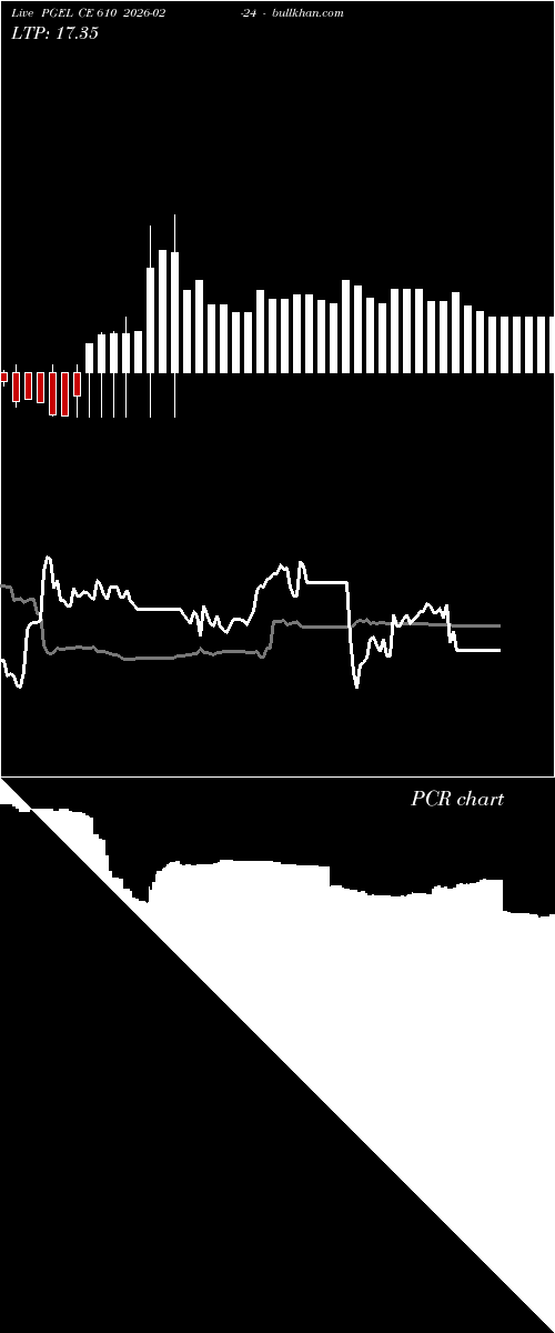  option chart PGEL CE 610 2026-02-24 