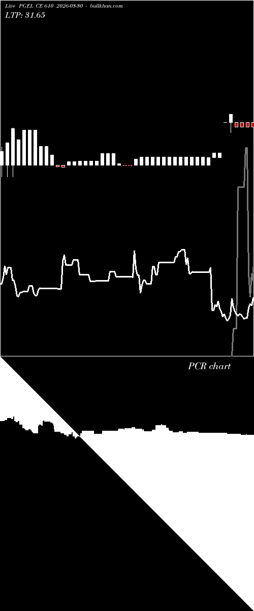  option chart PGEL CE 610 2026-03-30 