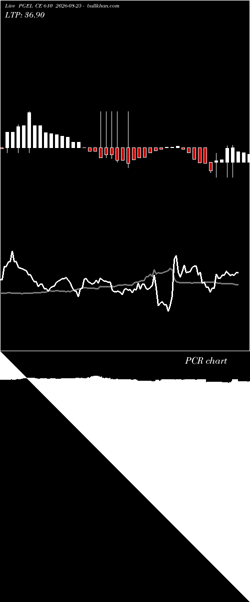  option chart PGEL CE 610 2026-08-25 