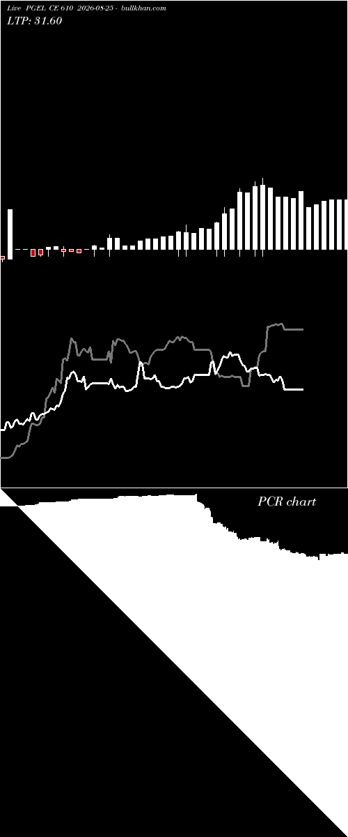  option chart PGEL CE 610 2026-08-25 