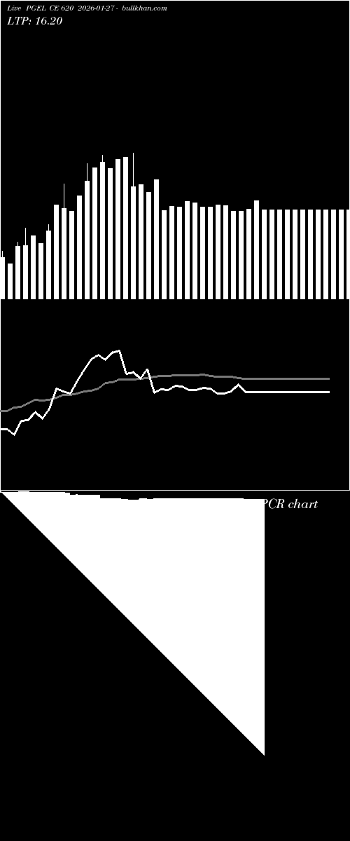  option chart PGEL CE 620 2026-01-27 