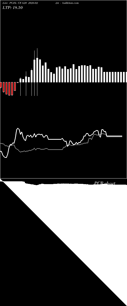  option chart PGEL CE 620 2026-02-24 
