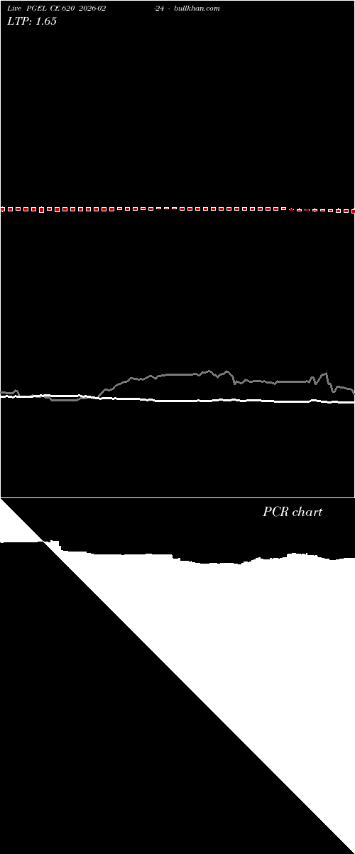  option chart PGEL CE 620 2026-02-24 
