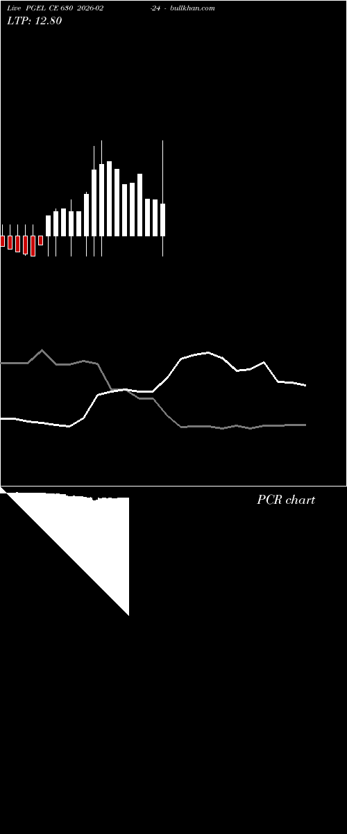  option chart PGEL CE 630 2026-02-24 