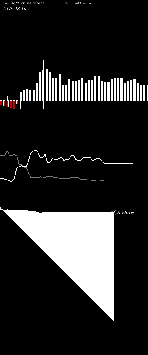  option chart PGEL CE 630 2026-02-24 