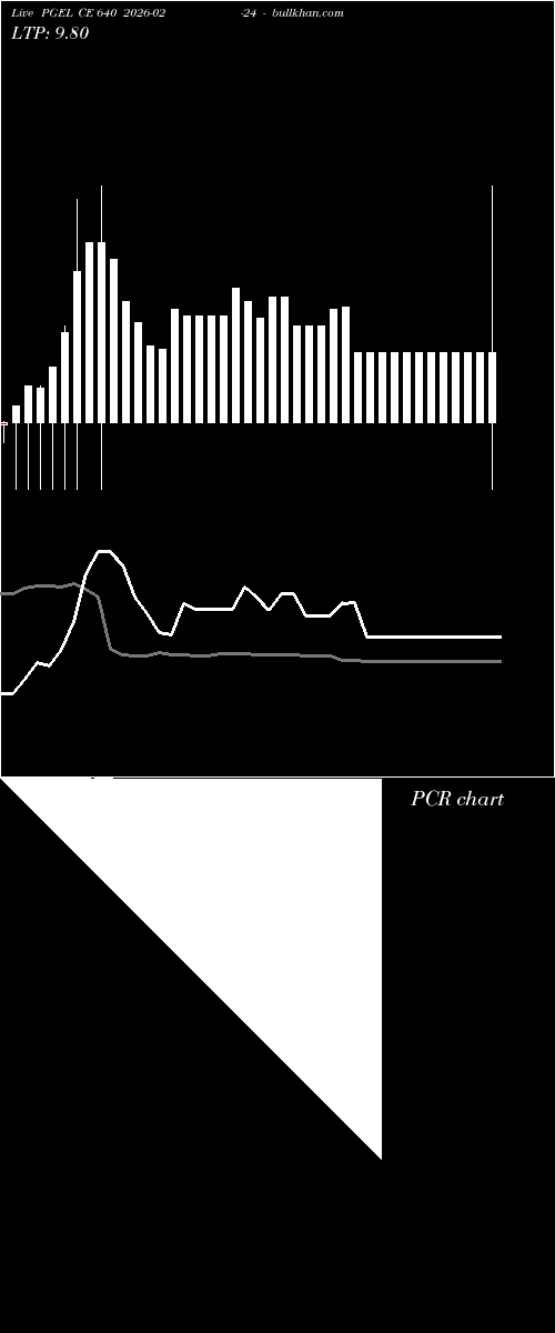  option chart PGEL CE 640 2026-02-24 