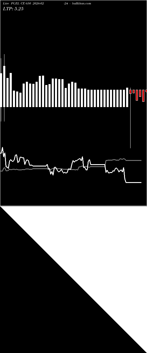  option chart PGEL CE 650 2026-02-24 