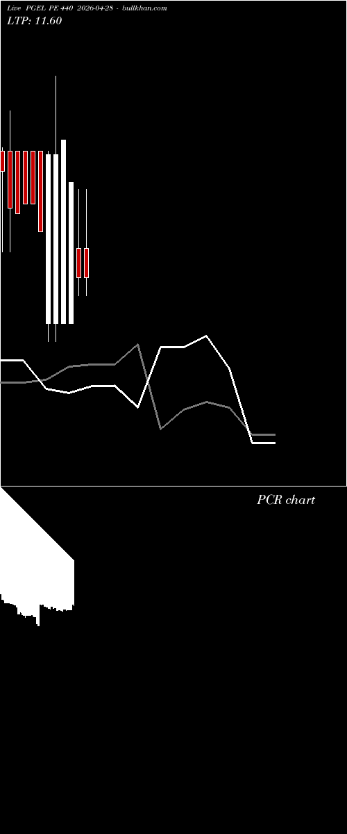 option chart PGEL PE 440 2026-04-28 