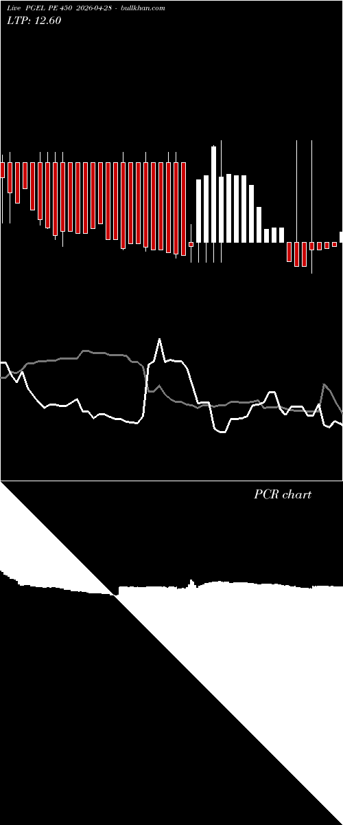  option chart PGEL PE 450 2026-04-28 