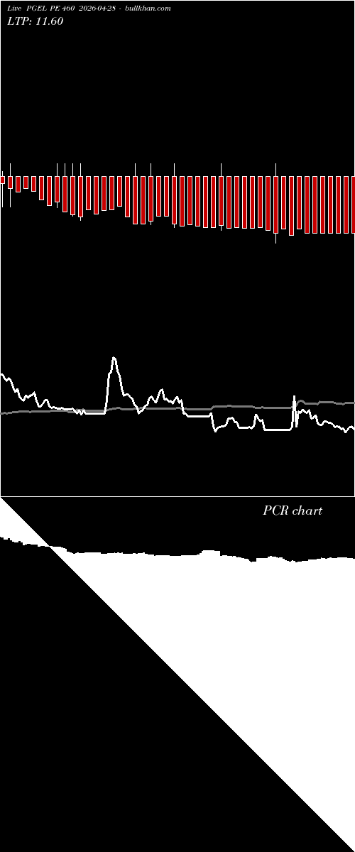  option chart PGEL PE 460 2026-04-28 
