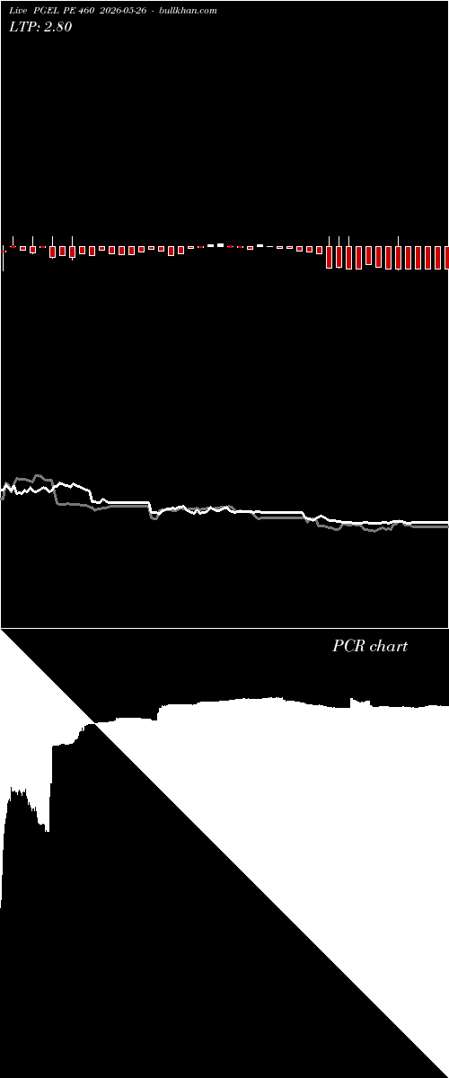  option chart PGEL PE 460 2026-05-26 