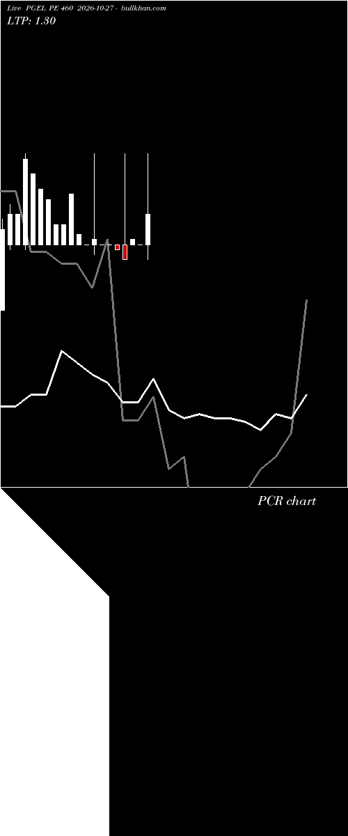  option chart PGEL PE 460 2026-10-27 