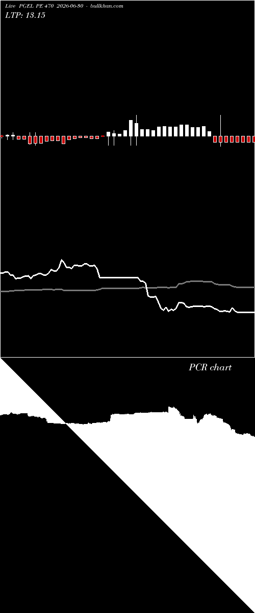  option chart PGEL PE 470 2026-06-30 