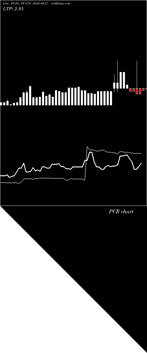  option chart PGEL PE 470 2026-10-27 