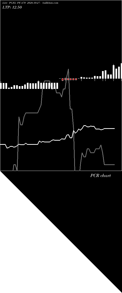  option chart PGEL PE 470 2026-10-27 