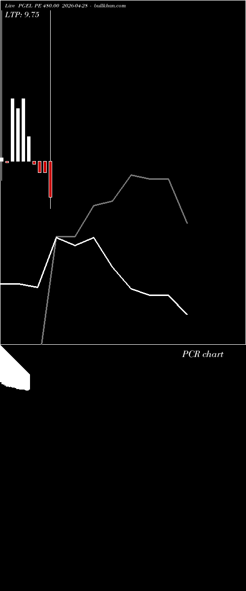  option chart PGEL PE 480.00 2026-04-28 