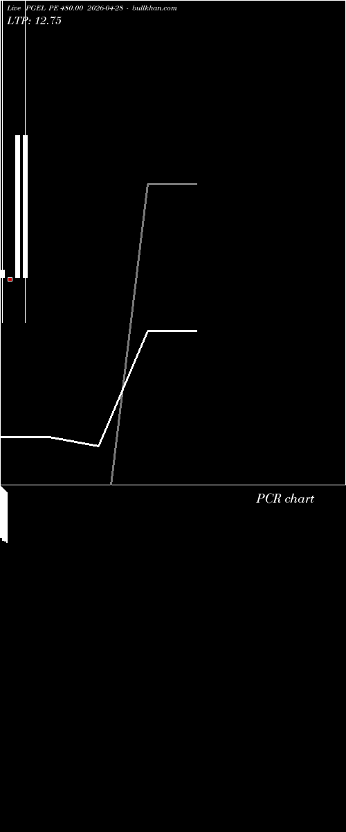  option chart PGEL PE 480.00 2026-04-28 