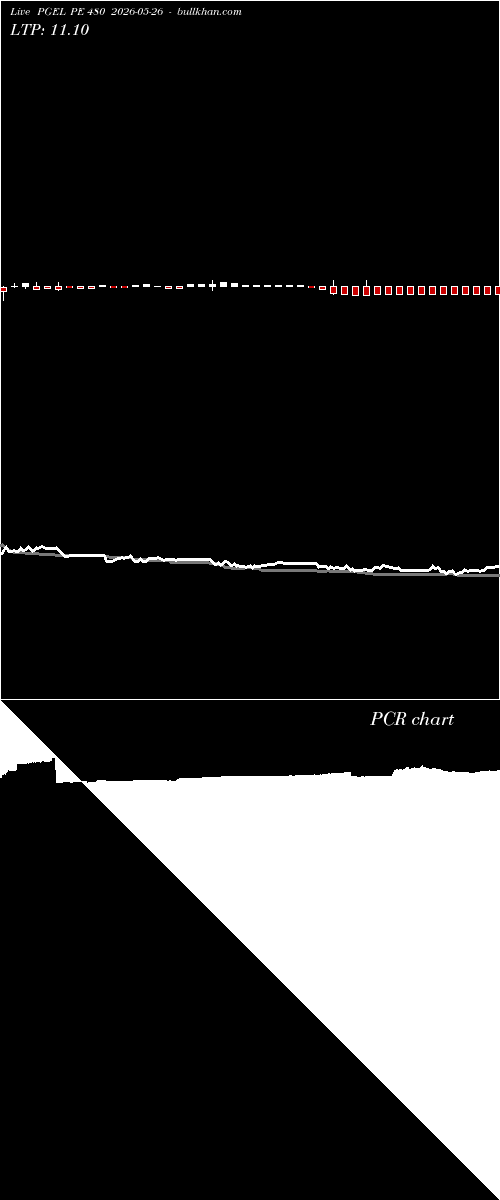  option chart PGEL PE 480 2026-05-26 