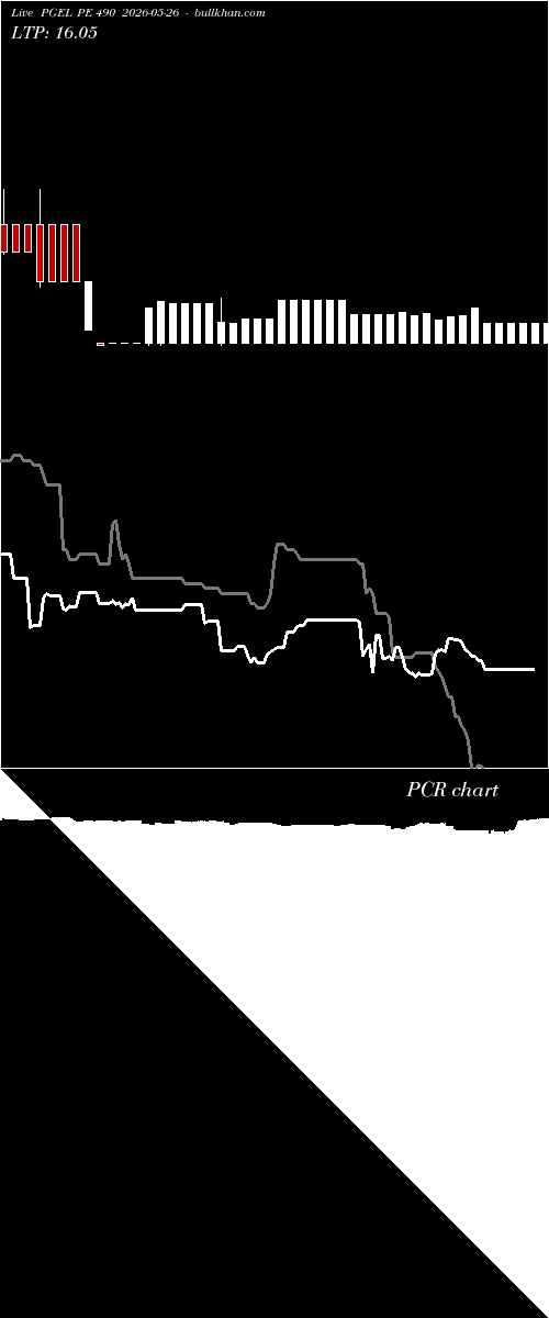  option chart PGEL PE 490 2026-05-26 