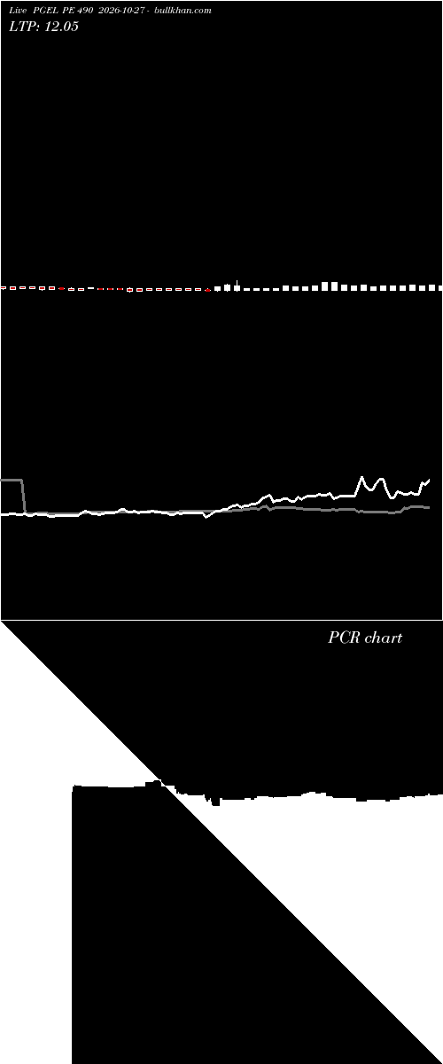  option chart PGEL PE 490 2026-10-27 