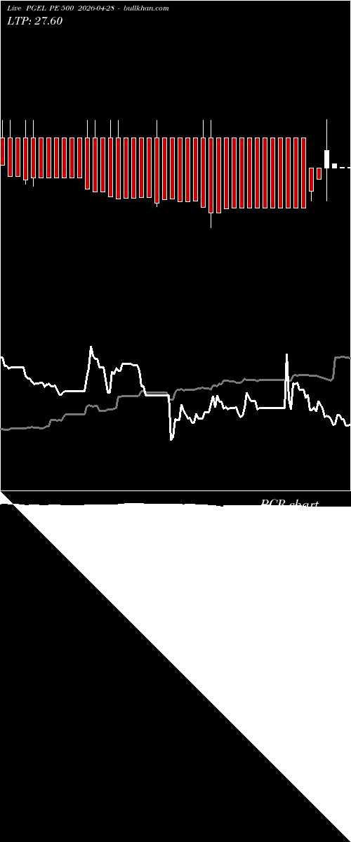  option chart PGEL PE 500 2026-04-28 