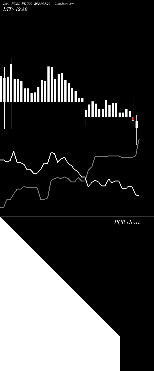  option chart PGEL PE 500 2026-05-26 