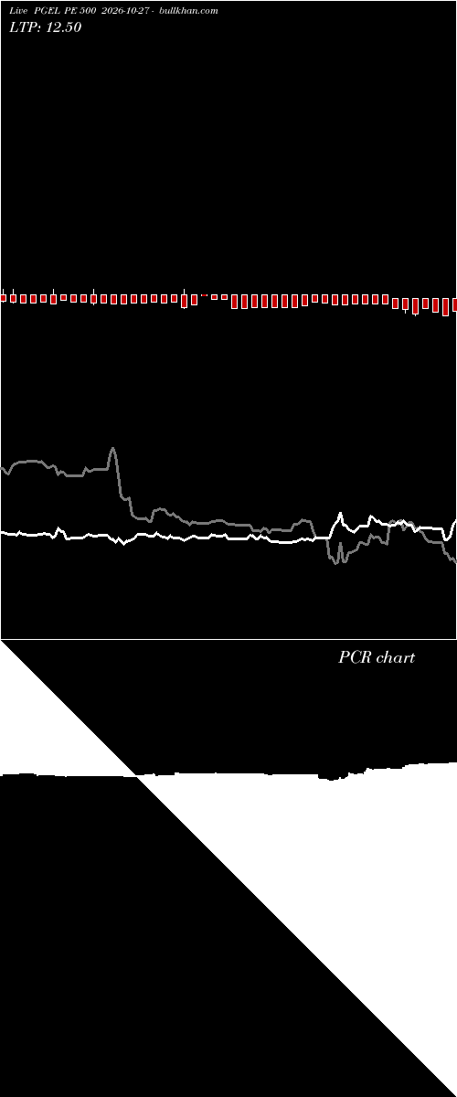  option chart PGEL PE 500 2026-10-27 