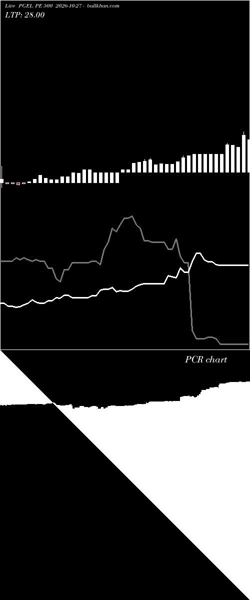  option chart PGEL PE 500 2026-10-27 