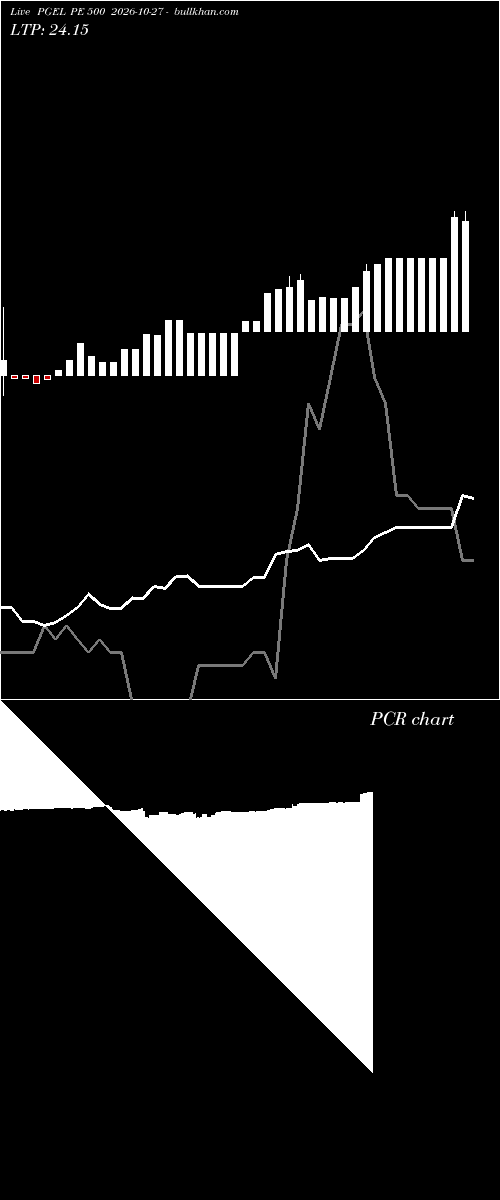  option chart PGEL PE 500 2026-10-27 