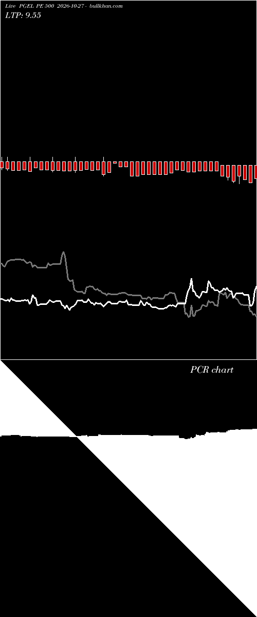 option chart PGEL PE 500 2026-10-27 