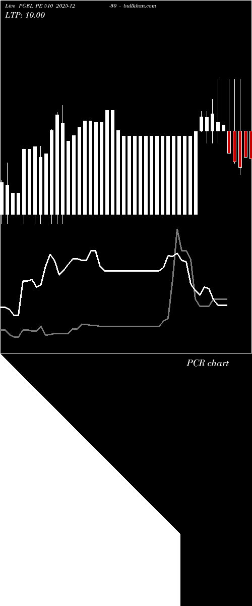  option chart PGEL PE 510 2025-12-30 