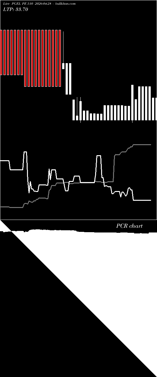  option chart PGEL PE 510 2026-04-28 