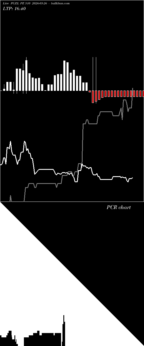 option chart PGEL PE 510 2026-05-26 