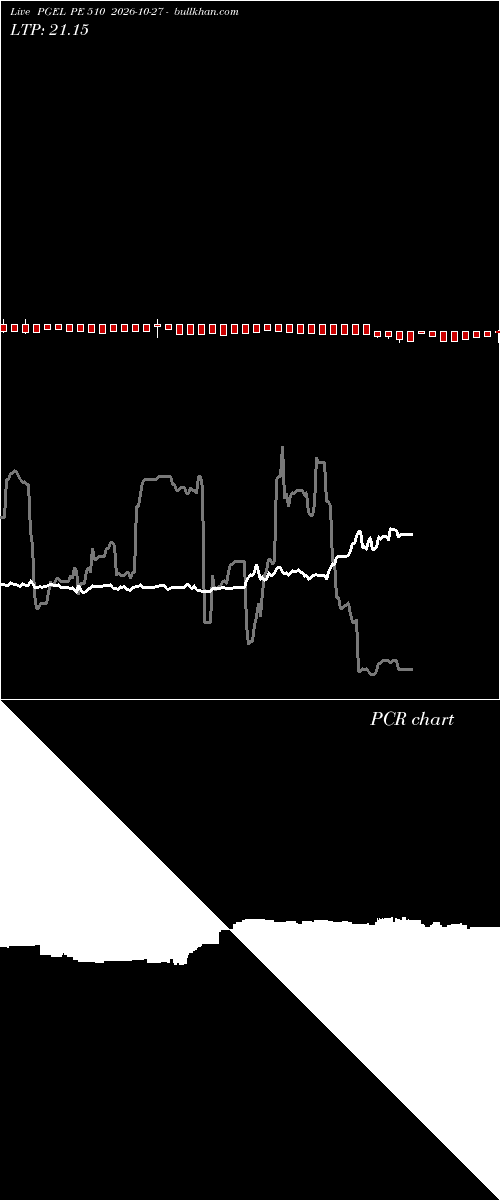  option chart PGEL PE 510 2026-10-27 