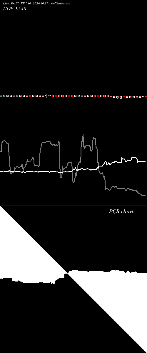  option chart PGEL PE 510 2026-10-27 