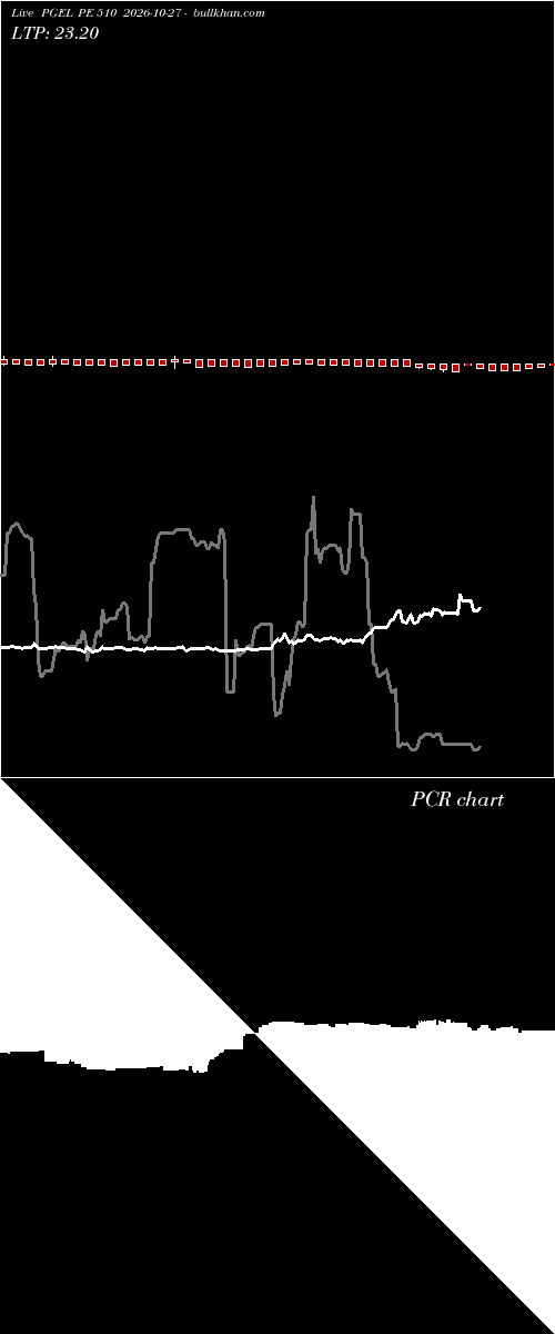  option chart PGEL PE 510 2026-10-27 