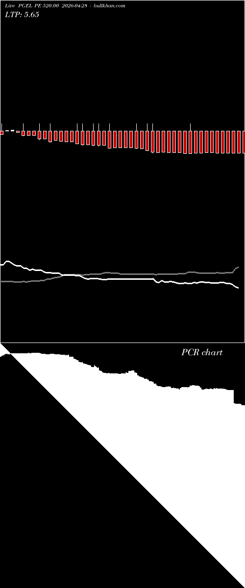  option chart PGEL PE 520.00 2026-04-28 