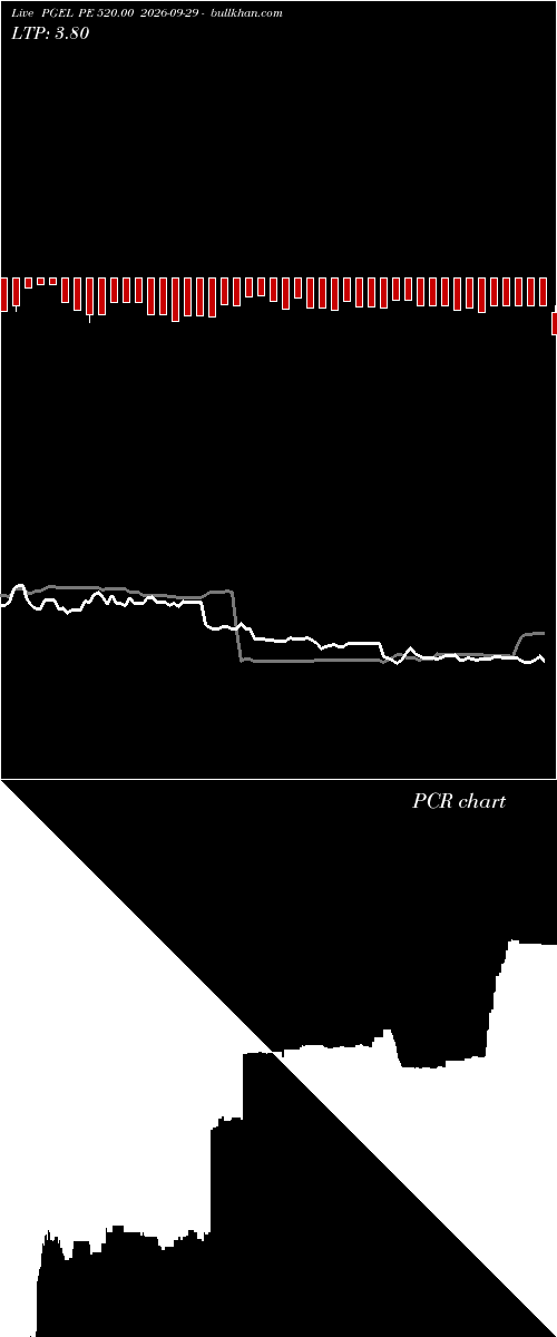  option chart PGEL PE 520.00 2026-09-29 
