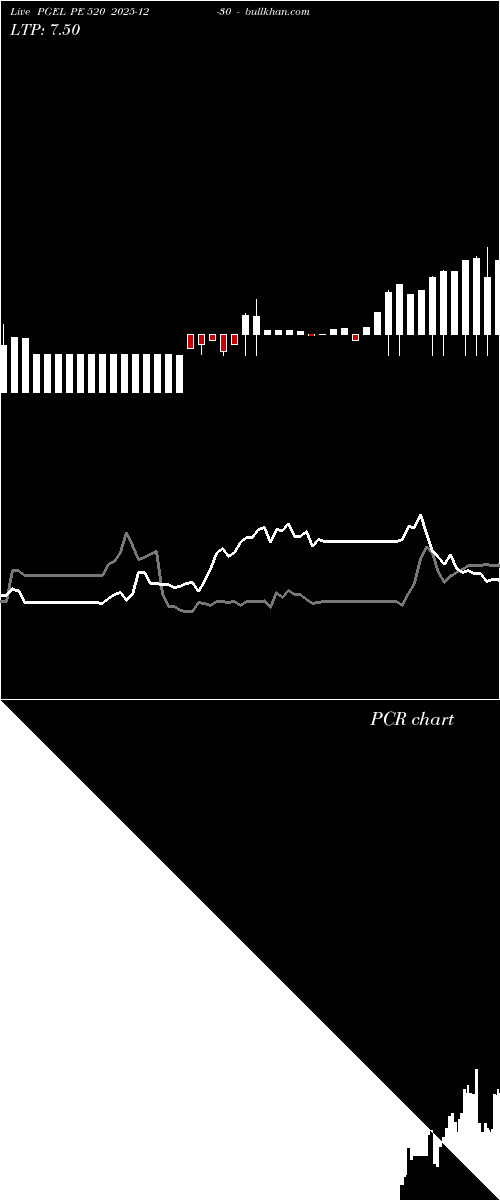 option chart PGEL PE 520 2025-12-30 
