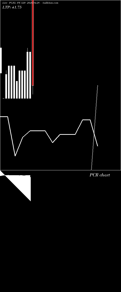  option chart PGEL PE 520 2026-04-28 