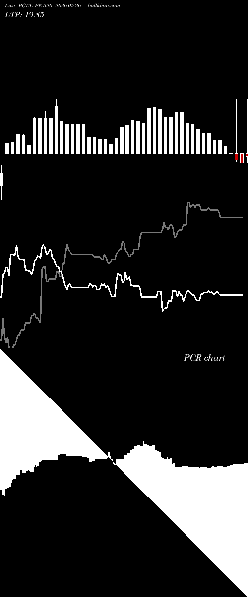  option chart PGEL PE 520 2026-05-26 