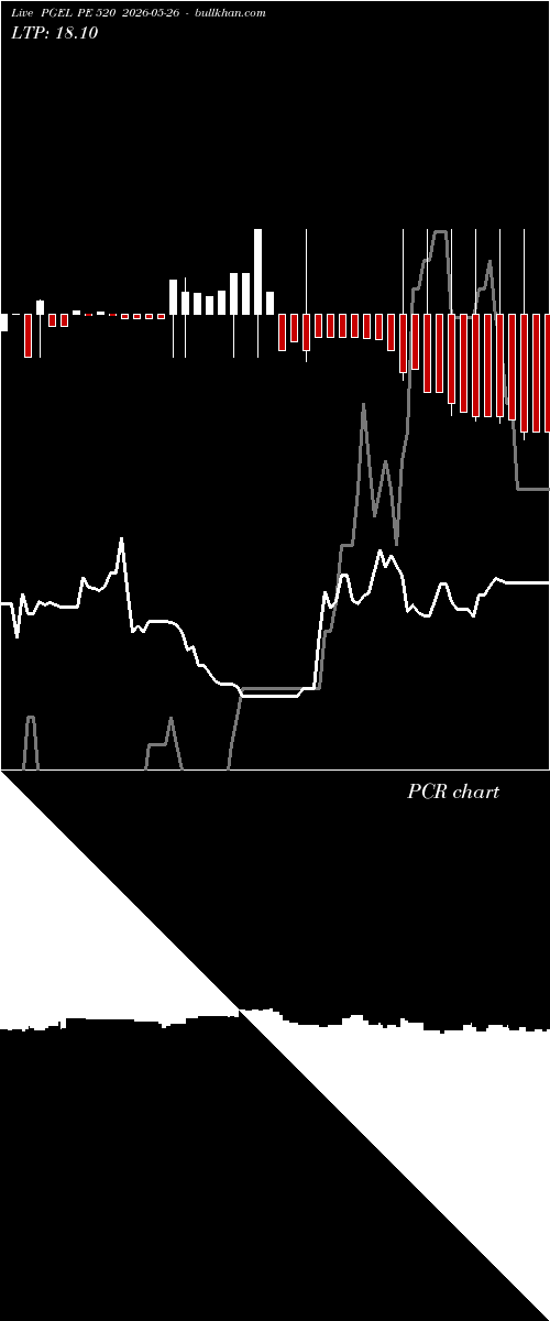  option chart PGEL PE 520 2026-05-26 