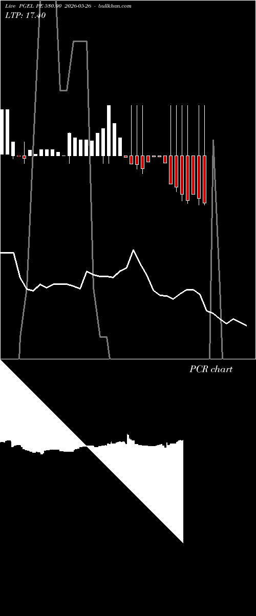  option chart PGEL PE 530.00 2026-05-26 