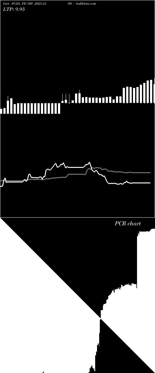  option chart PGEL PE 530 2025-12-30 