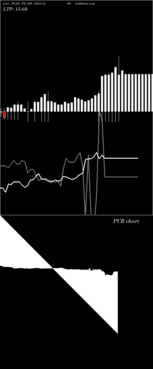  option chart PGEL PE 530 2025-12-30 