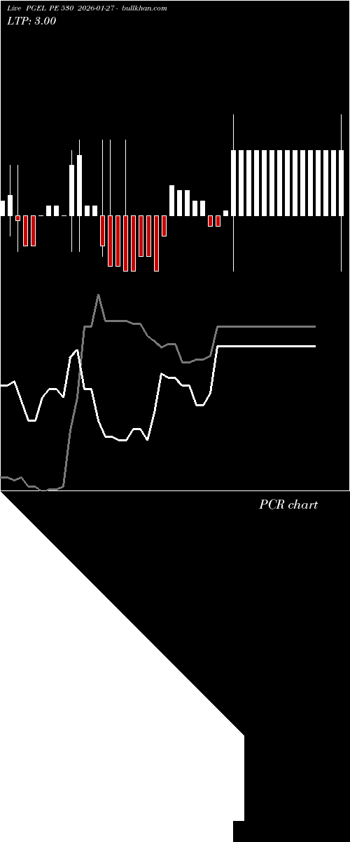  option chart PGEL PE 530 2026-01-27 